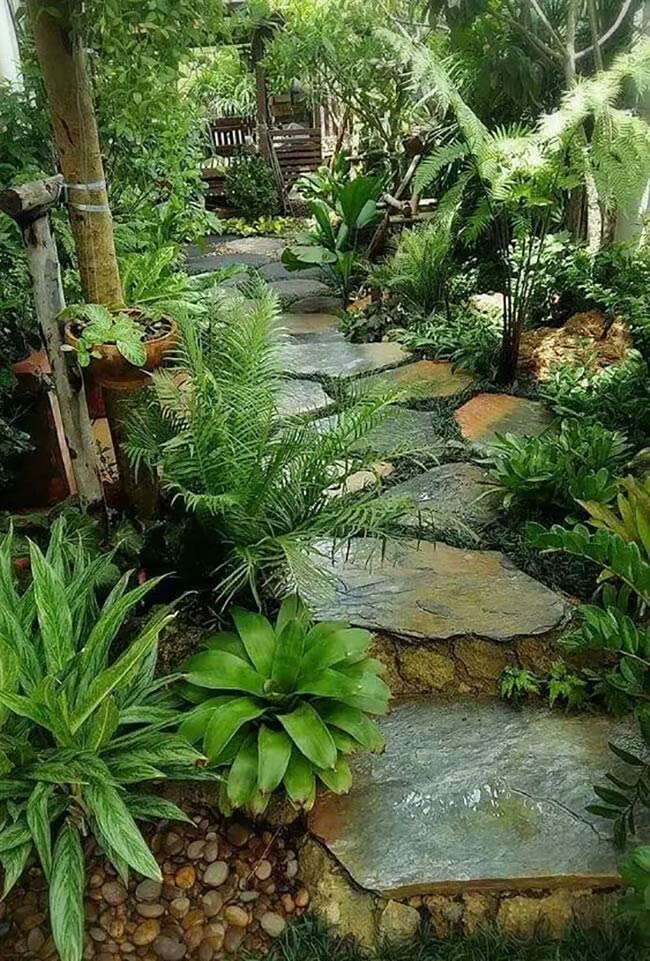 Tropical Flagstone Dreams: A Lush Shade Garden Journey