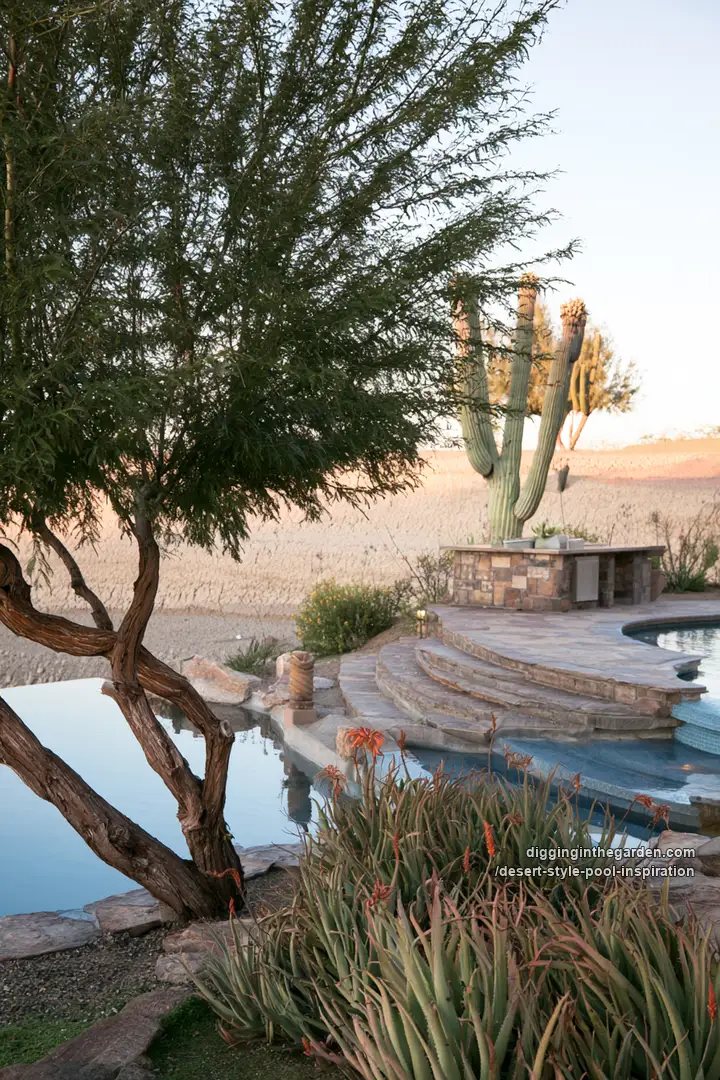 desert-style-pool-inspiration 11