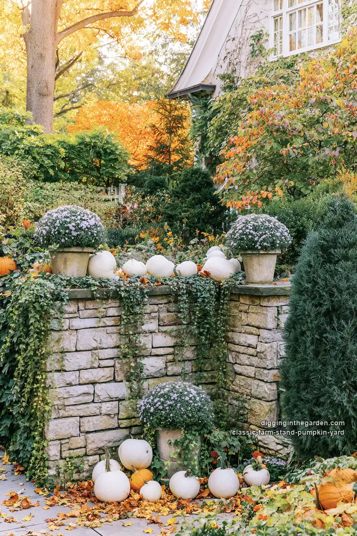 classic-farm-stand-pumpkin-yard 12