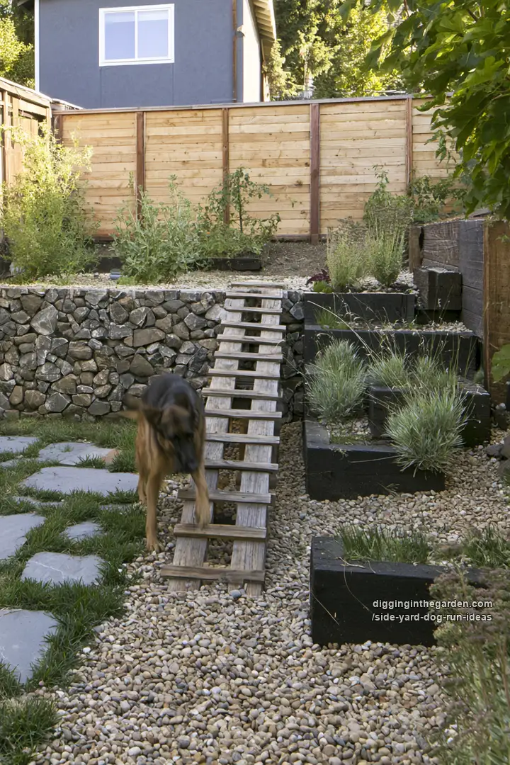 side-yard-dog-run-ideas 09