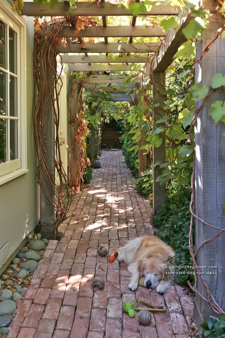 side-yard-dog-run-ideas 12